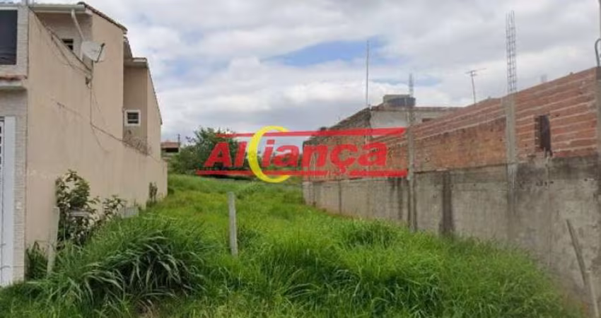 TERRENO A VENDA, 250 M²- JARDIM GUARULHOS -  GUARULHOS/SPterreno 10x 25 localização excelente