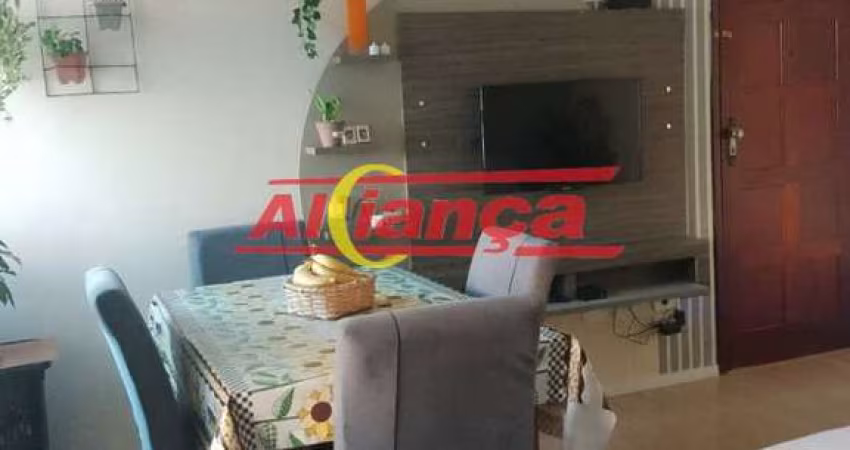 GAIVOTA PRETA - OPORTUNIDADE