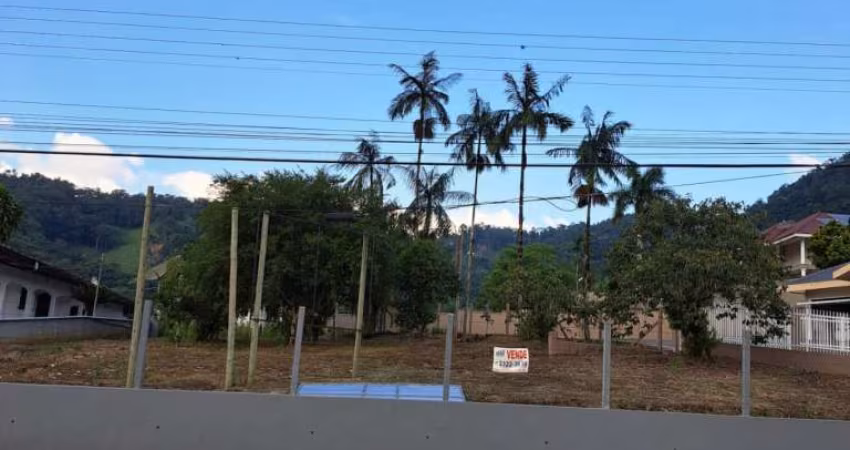 Terreno comercial à venda na Barão do Rio Branco, 495, Glória, Rodeio