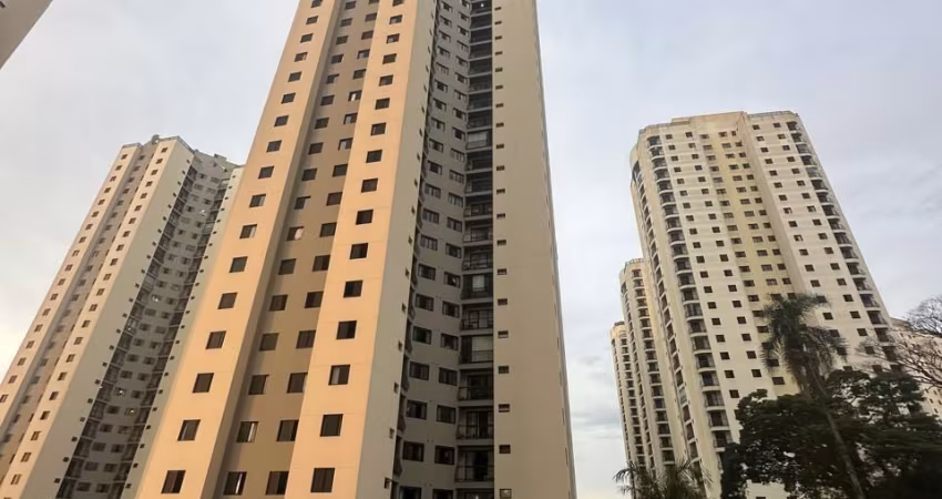 Apartamento Para Locação Condomínio Pitangueiras I