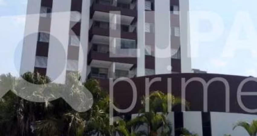 Apartamento com 3 dormitórios sendo 1 suíte á venda em Santa Terezinha!