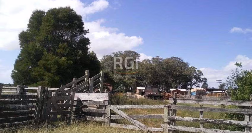 Area para Venda - 120000m², 0 dormitórios, Vila Santa Rosa