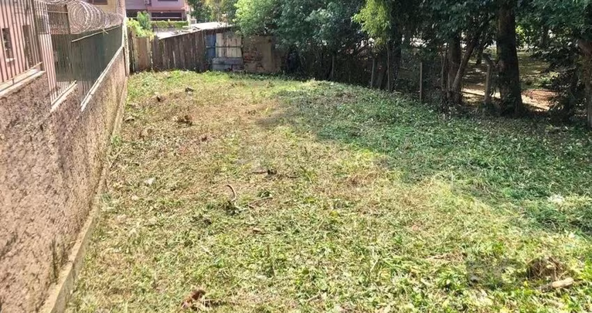 Terreno Residencial em Vila Ipiranga