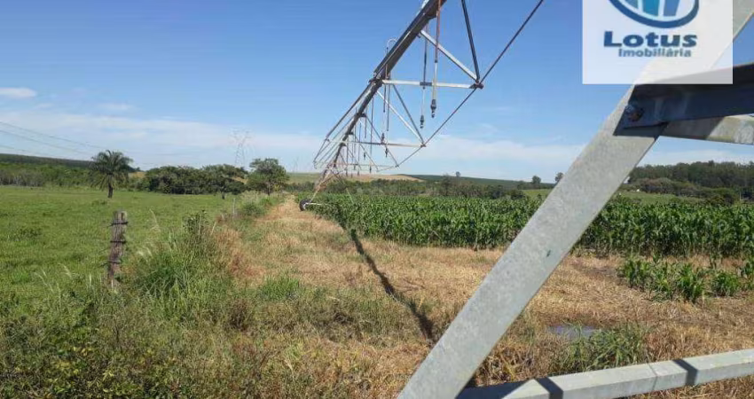 Fazenda à venda - Vargem Grande do Sul/SP