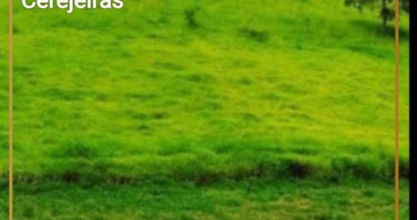Terreno para Venda em Arujá, Jardim das Cerejeiras