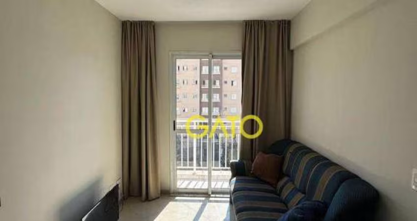 Apartamento em Cajamar, Apartamento no Portal dos Ipês em Cajamar/SP