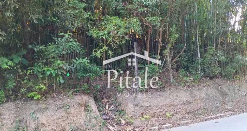Terreno à venda, 19658 m² por R$ 5.300.000,00 - Chácaras Embu Colonial - Embu das Artes/SP