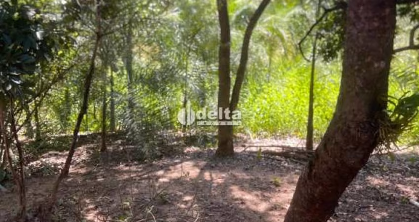 Chácara disponível para venda na região rural em Uberlândia-MG