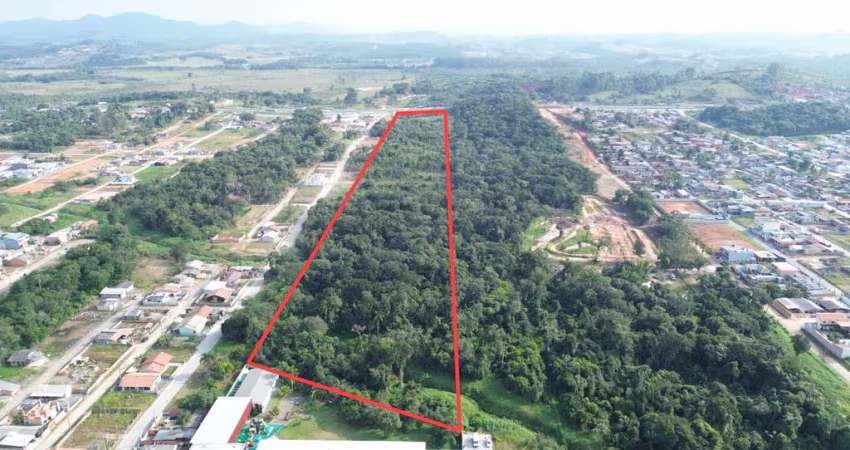 Área à venda, 78000 m² por R$ 20.000.000,00 - Itacolomi - Balneário Piçarras/SC