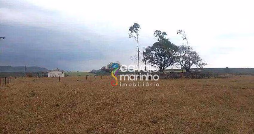 Sítio com 2 dormitórios à venda, 629200 m² por R$ 4.000.000 - Zona Rural - Santo Antônio da Alegria/SP