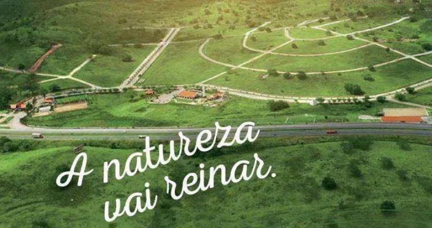 Terreno à venda, 1191 m² por R$ 297.750,00 - Km 138, S/n - Campina Grande/PB