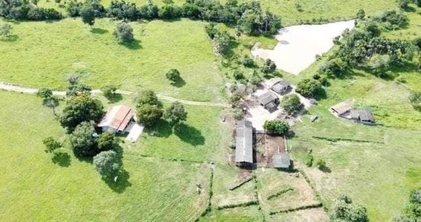 Fazenda com 19 alqueires a venda em Lua Nova - Goiás.