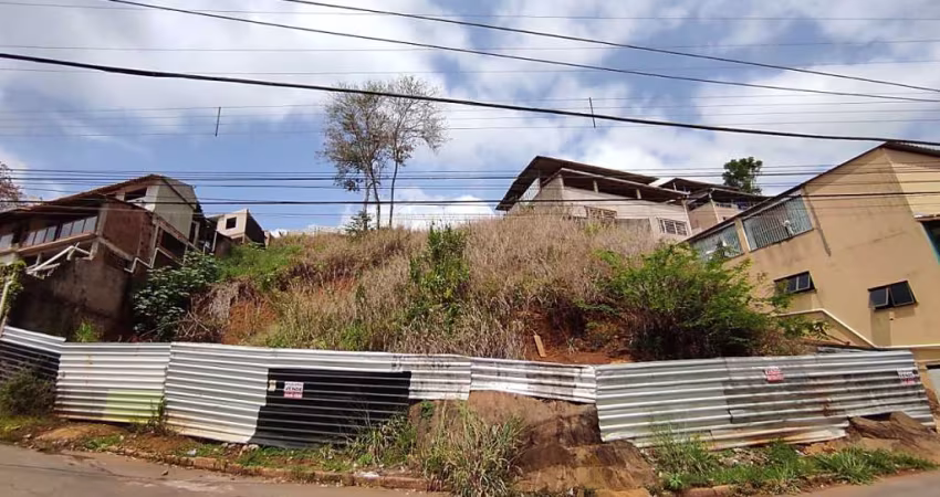 Lote / Terreno - São Pedro