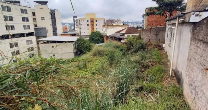 Lote / Terreno - Paineiras