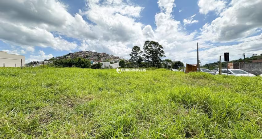 Lote / Terreno - São Pedro