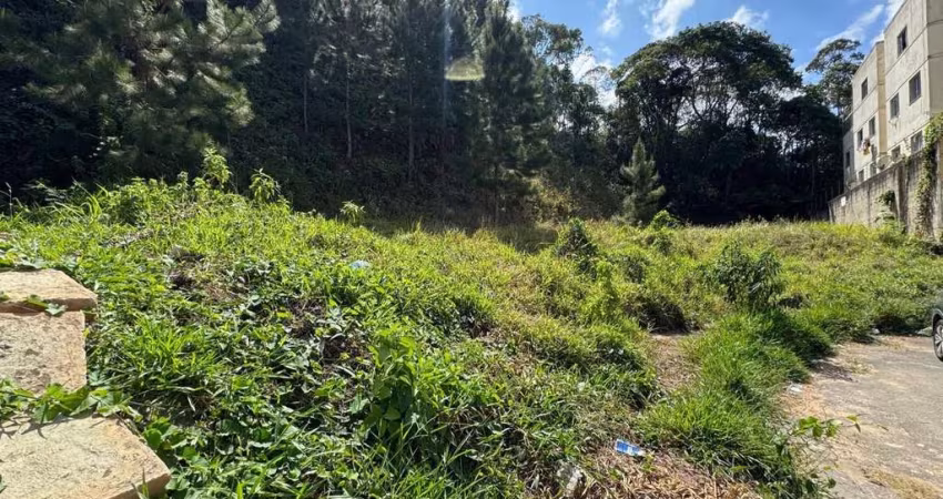 Lote / Terreno - São Pedro