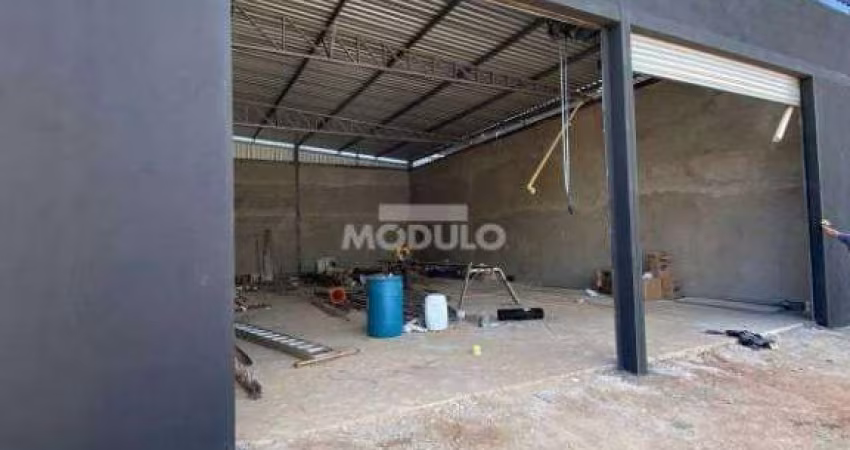 Galpão/Depósito/Barracão à venda, 2 vagas, Shopping Park - Uberlândia/MG