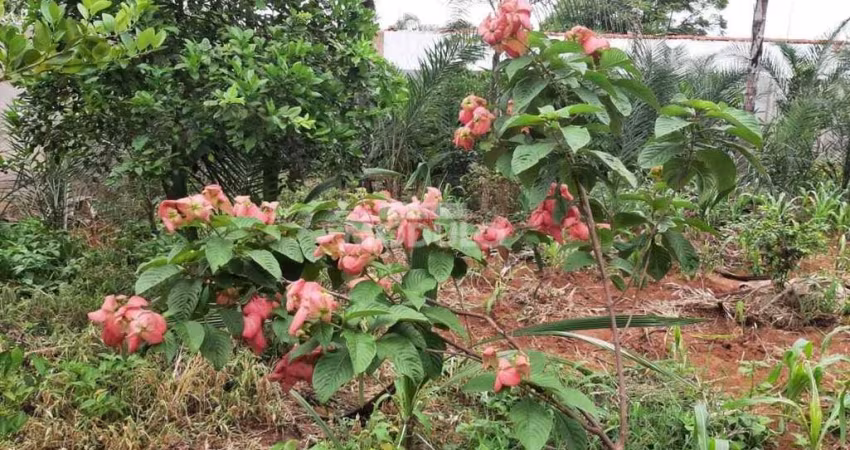 CHÁCARA à venda, MORADA NOVA - Uberlândia/MG