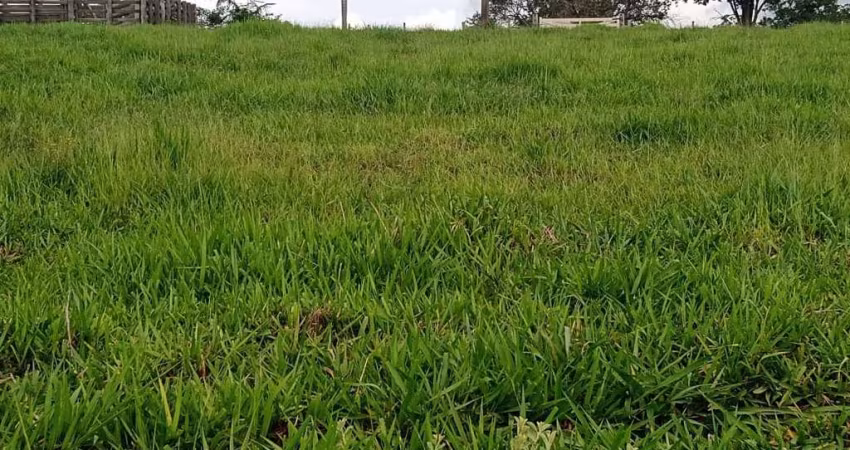 Sítio 5,7 Alqueires Frente Asfalto,Localização Top,Terra Fertil,muito Boa,Ótimo para Plantação,Gado,Granjas