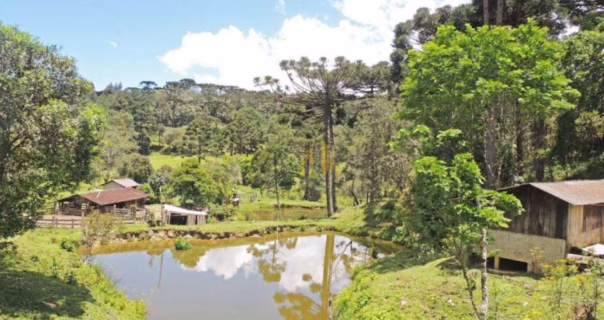 Fazenda à venda, 2651420 m² por R$ 26.600.000 - Taquari - Campina Grande do Sul/PR