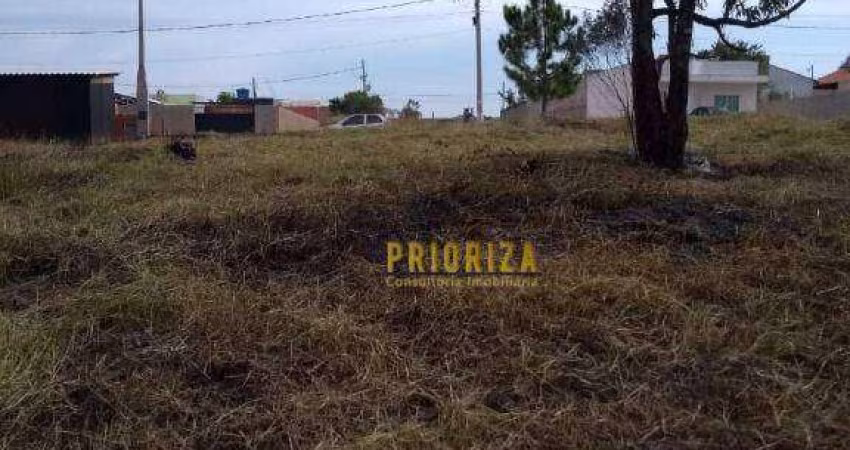 Terreno à venda, 300 m² por R$ 150.000,00 - Jardim Novo Horizonte - Araçoiaba da Serra/SP
