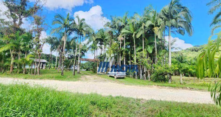 Sitio a venda Antonina com 47 hectares com casa sede, casa caseiro, tanques atualmente plantação de palmitos