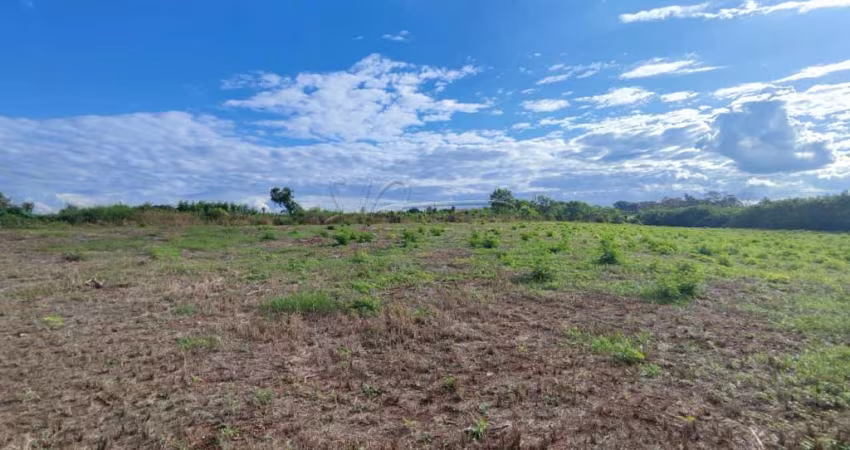 Área comercial com 37.556m² de terreno para locação e venda - Adelino Simioni