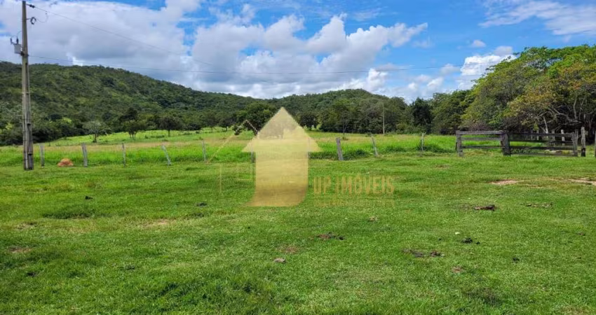 FAZENDA 998 HA – 2 KM DE BEIRA DE RIO MANSO
