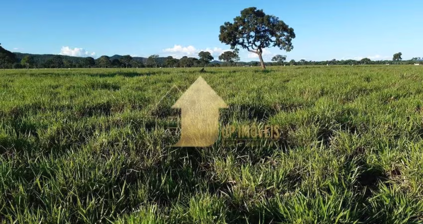 FAZENDA EM NOBRES REGIÃO DO CUIABAZINHO