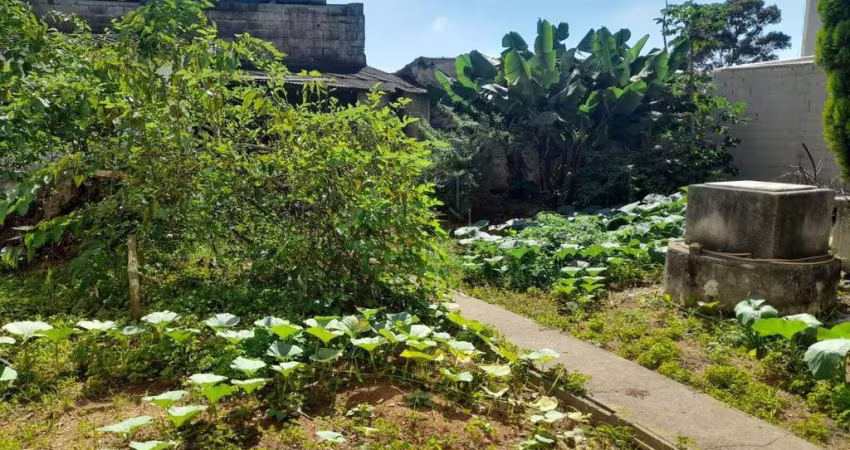 Terreno com Imóvel Antigo no Baeta Neves, São Bernardo do Campo