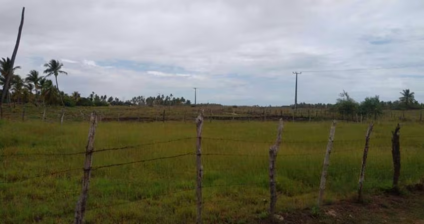 TerrenoÁrea à venda, Povoado Touro - Barra dos Coqueiros/SE