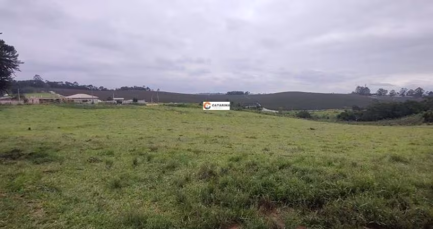 Chácara / sítio à venda na Dona Catarina, Dona Catarina, Mairinque