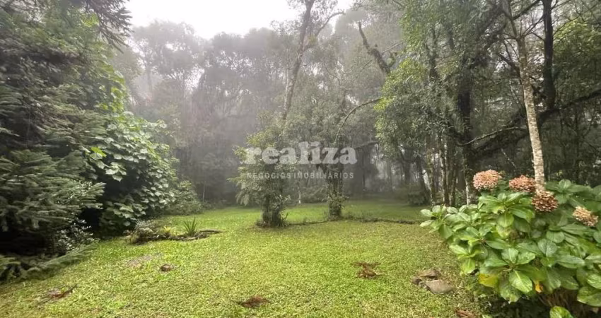 TERRENO COMERCIAL , Vila Suiça, Canela - RS