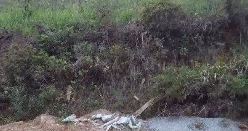 Terreno à venda no Camarão, Ilhabela 