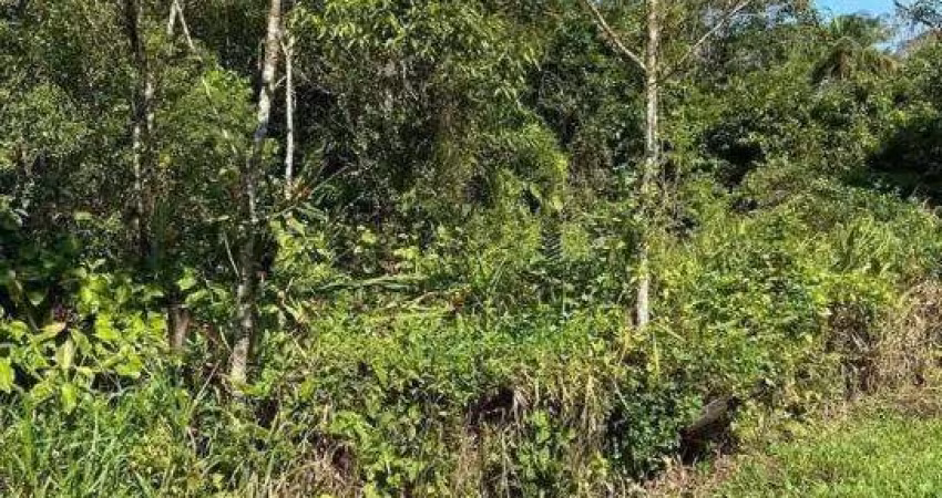 Terreno à venda na Barra do Una, São Sebastião 