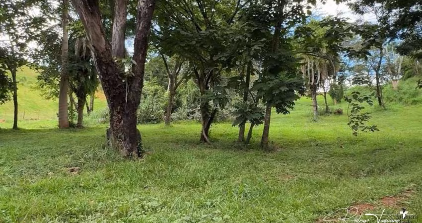 Terreno com Vista para Mata Preservada no Aldeia do Vale – Exclusividade e Privacidade em Localização Privilegiada