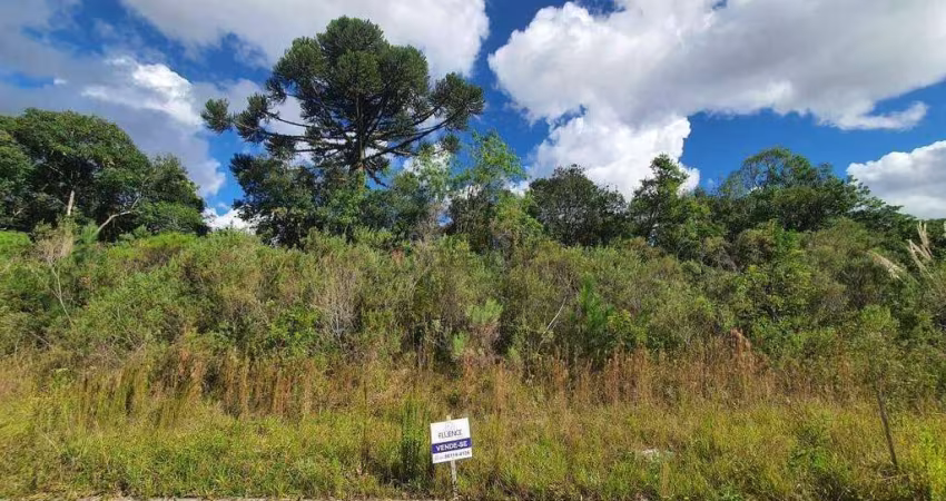 Lindo terreno no Loteamento Reserva das Araucárias no Santo Antão