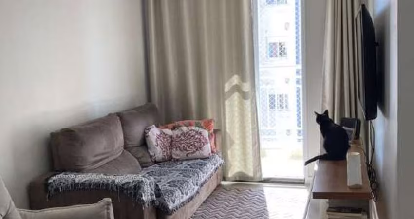 Apartamento em Vila Pires  -  Santo André