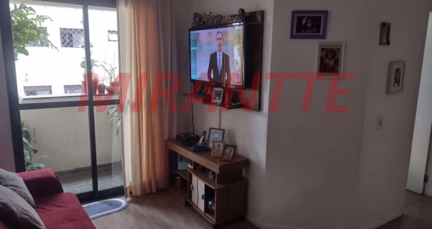 Apartamento de 72m² com 3 quartos em Horto Florestal