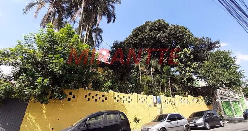 Terreno de 340m² em Vila Amalia