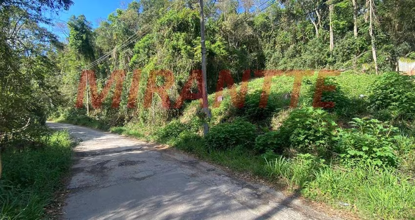 Terreno em Serra Da Cantareira