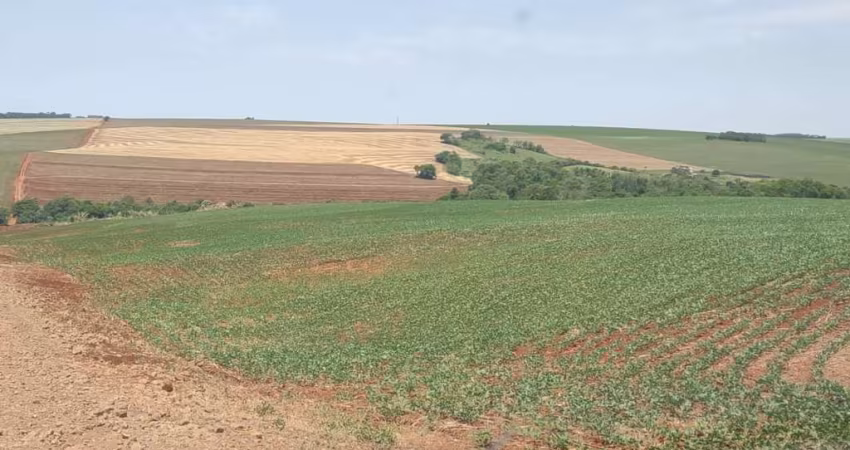 Sítio para Venda em Boa Esperança, Fazenda Riozinho