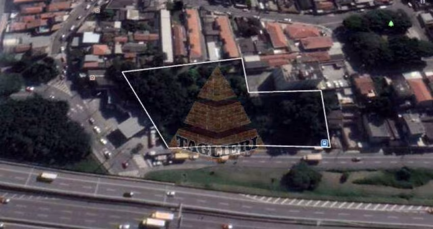 TERRENO NA VL MANGALOT  - São Paulo/SP