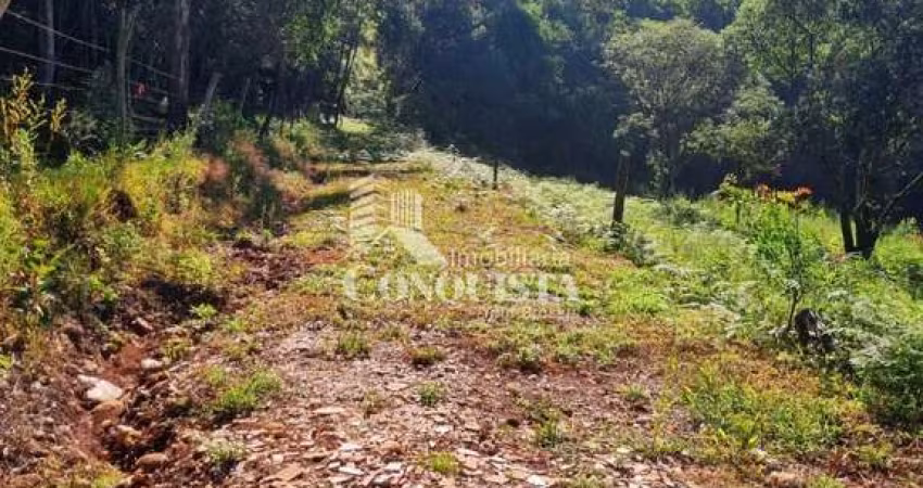 Chácara / sítio à venda na Travessa Santa Rita, 1, São Pedro da Terceira Légua, Caxias do Sul