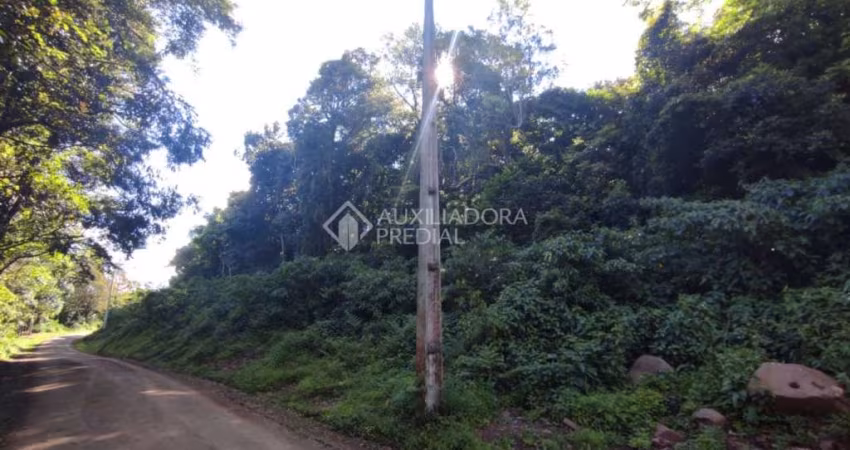 Terreno à venda na São Paulo/Canastra, 30, Centro, Canela