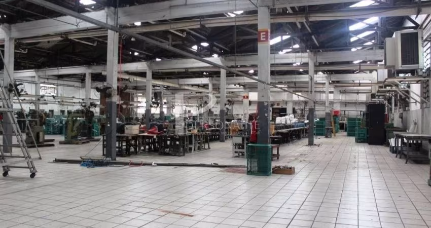 Galpões, 6.203m², escritórios, showroom, para venda, Vila Leopoldina.