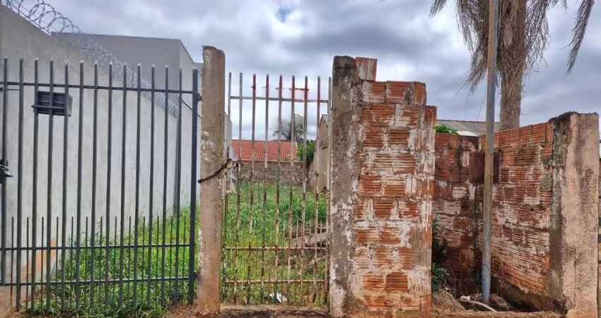 Terreno no Oliveira 3