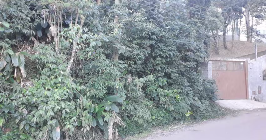 Terreno à venda, 2040 m² por R$ 200.000,00 - Samambaia - Mairiporã/SP