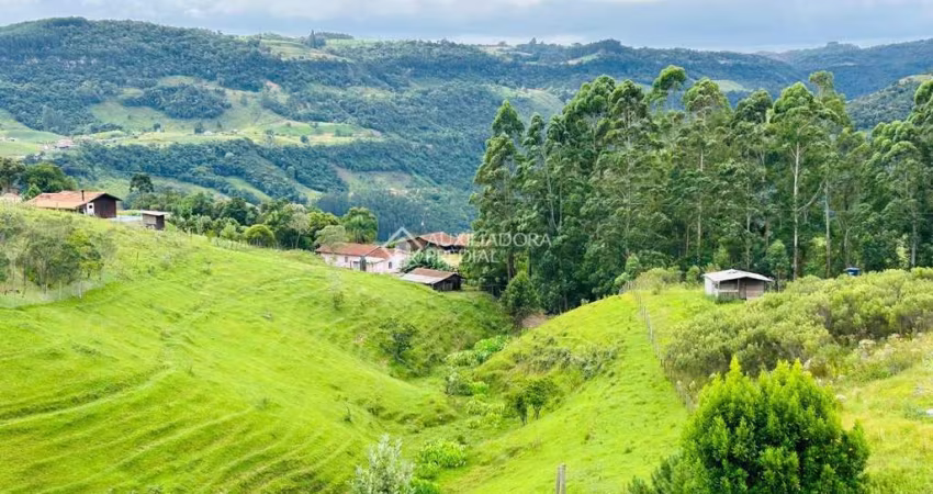 Terreno à venda na Marcio Dias, 0000, Rio Adaga, Alfredo Wagner