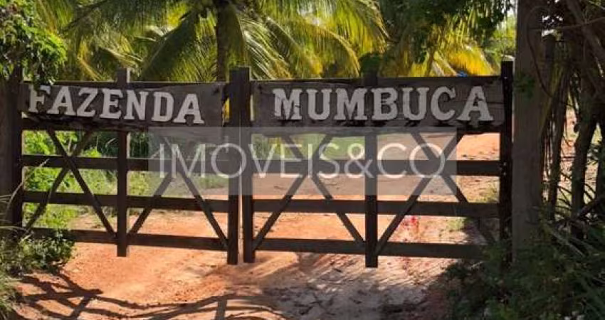 Chácara / sítio com 2 quartos à venda na Barra do Itariri, Conde 